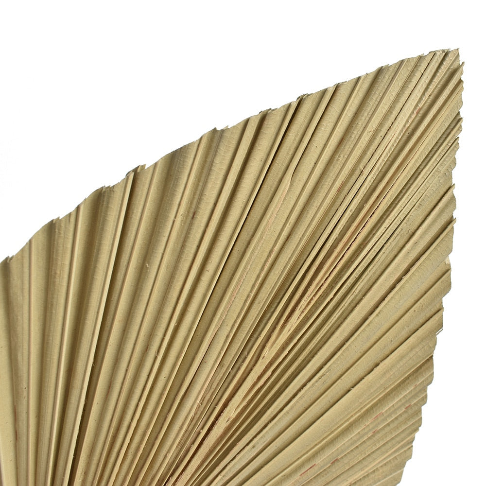 Natural Dried Palm Leaves